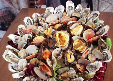 Altro che sushi, a Bari il "crudo"  da sempre un must: ecco la lista dei frutti di mare